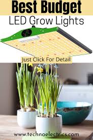 In Budget Led Grow Lights For Pot Plants Led Grow Lights Led Grow Grow Lights