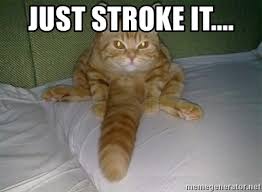 #gmm 1152 #musings #poke it #stroke it #love it like we know you do #rhink. Just Stroke It Cat Penis Meme Generator
