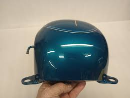 Image result for Aqua Pearl 1994 FLSTF