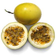 Image result for Passiflora edulis