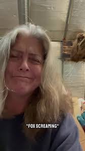 Susan Aikens's Instagram, Twitter & Facebook