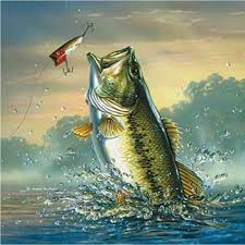 Large Mouth Bass Fish Image 1 Coasters Set Of 4 Fabric Top Rubber Backed Fishing Pictures Fish Wallpaper Fish Drawings