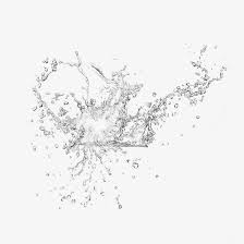 白色飞溅的水花高清素材水元素水浪水花白色水花补水飞溅 flowers art dandelion