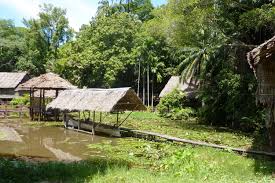 Check out viator's reviews and photos of kota kinabalu tours. Kota Kinabalu Die Top Sehenswurdigkeiten Highlights