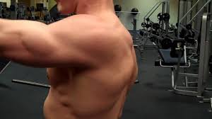 It's important that you do not let your wrists go above your elbows while raising the weight, as this will take the work off the side delts and put it on the front delts. Dumbbell Front Raise Benefits Muscles Worked And Full Technique Tips Boxrox