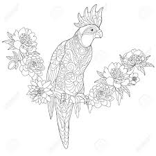 Printable coloring and activity pages are one way to keep the kids happy (or at least occupie. Coloring Page Of Cockatoo Parrot Sitting On Tropical Liana With Flowers Freehand Sketch Drawing For Adult Anti Stress Coloring Book With Doodle And Zentangle Elements Royalty Free Cliparts Vectors And Stock Illustration