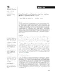 Image result for Phyllanthus mendoncae