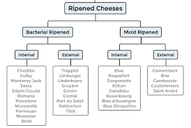 Cheese Types Cheese Science Toolkit