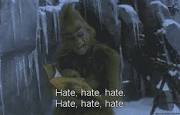 everything bout the wolverines 