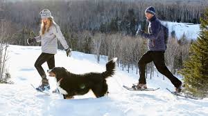 The binding of a camel message to a bean method call can occur in different ways, in the following order of importance 15 Best Products To Buy At L L Bean For Under 100 Reviewed
