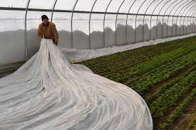 Tool Dude's Blog: January 2011