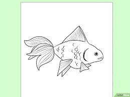 How To Draw Goldfish Goldfish Sea Creatures Drawing Drawings