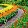 Drelis gardens four seasons garden the most beautiful. 1