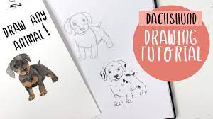 You might think that drawing is like touching your tongue to your nose: How To Draw A Dog Or Any Animal For Beginners Drawing Tutorial Youtube