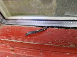 Image result for site:byggahus.se komplettera