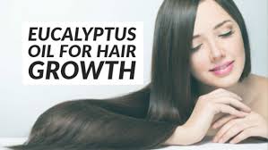 The deadline is 1st september! Use Eucalyptus Oil For Hair Growth Why It Works Herbs For Health