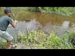 Rejeki Mancing Di Awal Tahun 2020 Youtube