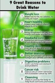 Fennel seeds or saunf are a kitchen staple in india. Pin By Megan Scaglione On F I T N E S S Headache Cure Drinking Water Health Tips
