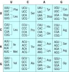 Im A Substitute Teacher That Has Become A Long Term Science