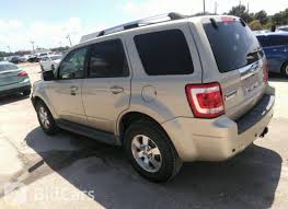 Image result for Gold Leaf 2011 Escape