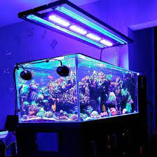 Memberikan desain contoh aquarium yang sifatnya custom' atau dibuat sesuai selera pembeli juga. Beberapa Macam Ragam Alat Untuk Aquarium Air Laut