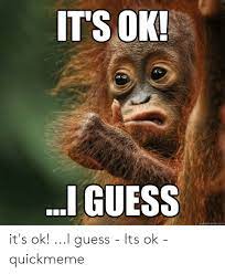 25 Best Memes About Okay Okay Okay Meme Okay Okay Okay Memes