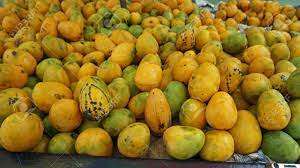 Limoncillos look like small limes on the outside, hence the english name of spanish lime. Tropical Fruits From The Dominican Republic Stock Photo Picture And Royalty Free Image Image 81590891