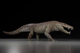 Tabi_fit Leaked - They Appreciate You That You Are Making an Nude