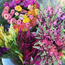 (newton, ma boston/cambridge/brookline ) hide this posting restore restore this posting. Red Fire Farm Flowers From The Farm