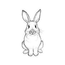 Rabbit drawing rabbit art kawaii bunny cute bunny chibi bunny cute animal drawings cute drawings lapin art painting & drawing. Bunnies Hares And Rabbits Oh My Rabbit Drawing Bunny Drawing Animal Drawings