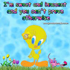 Funny Quotes Sweet And Innocent Tweety Graphics Cute Animations Tweety Tgif Funny Friday Quotes Funny