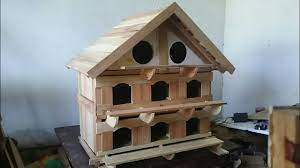 Vlog review burung merpati putih ,kandang jemur & dondangan simak sampai ahir video bosku, si burung dara plontang galak. Make Pigeon House Merakit Rumah Merpati Burung Dara Youtube