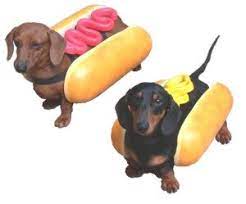 Hotdogs On A Bun Hotdog Costume Dog Costume Dachshund Costume