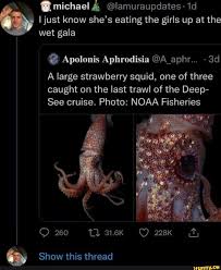 AN AN AK I won't hurt you unless you cheat - iFunny