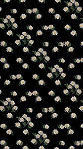 65 Trendy Ideas For Wallpaper Tumblr Preto Whatsapp Daisy Wallpaper Iphone Background Wallpaper Iphone Wallpaper