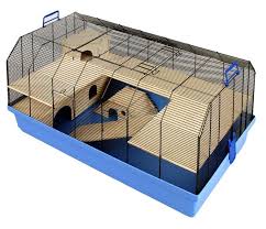 Quelle Cage Pour Mon Hamster Nac Magazine