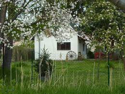 Passend zu ihrem ferienhaus im salzburger land wünschten sich die bauherren einen modernen, schlichten sowie pflegeleichten. Kleines Ferienhaus Mit Garten Und Viel Ruhe Lubbenau Frau Verena Schneider