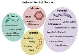 Neglected Tropical Diseases Challenges For The Post 2015 Development Era Disease Lymphatic Filariasis Infectious Disease