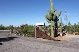 Come check out the vast variety of cactus and flowers we have for sale at the nursery. North Scottsdale Nursery Cactus Entrance North Scottsdale Nursery Cactus