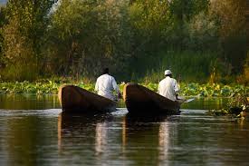 Two Kashmiri Men Boat In Tandem On The Backwaters Of Dal Lake Srinagar Kashmir India Kashmir Beauty Landscape Boat Indian Lake Srinagar Travel Photos