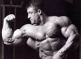Bodybuilding 1080p, 2k, 4k, 5k hd wallpapers free download, these wallpapers are free download for pc, laptop, iphone, android phone and ipad desktop. 67 Dorian Yates Wallpaper On Wallpapersafari