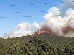 Mundo incêndios há 18 horas. Incendio De Loule Arde Livremente Em Zona De Dificil Acesso