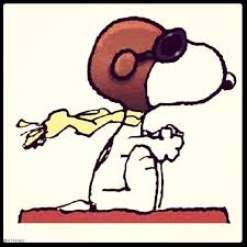 Pin By Amanda Brautigan On Aviation Snoopy Cartoon Dog Snoopy Love