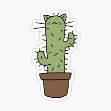 Download this hand painted cartoon rainbow, cartoon clipart, rainbow, clouds png clipart image with transparent background or psd file for free. Cactus Cat Gifts Merchandise Redbubble