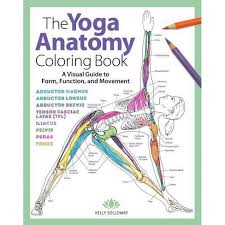 Download The Yoga Anatomy Coloring Book 1 By Kelly Solloway Paperback Target