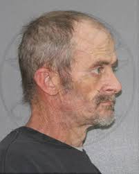 2 Arrested For Cruelty To Dogs And Torture In Angelina County