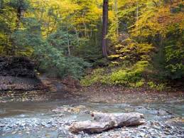 Makemoneypinterest Outdoors Adventure Places To Go Pennsylvania Travel