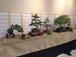 This forum is for you! Hinoki Bonsai Club Home Facebook