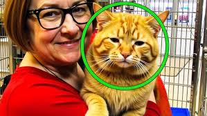 Stamparatus Technique Series: Video #1 Precision Placement