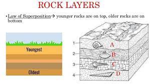 Fluoride ions in soil water replace ions in bone. Law Of Superposition Index Fossils 8th Grade Science